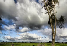 比赛结局扣人心弦,惊险刺激