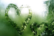 黑马逆袭成功,斩获历史性奖牌