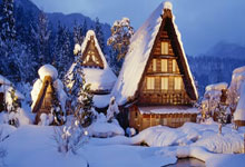 大黄蜂登陆主场,球迷热情高涨