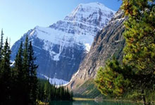 韦拉尔迪闷声发大财,维罗纳坐看秋水